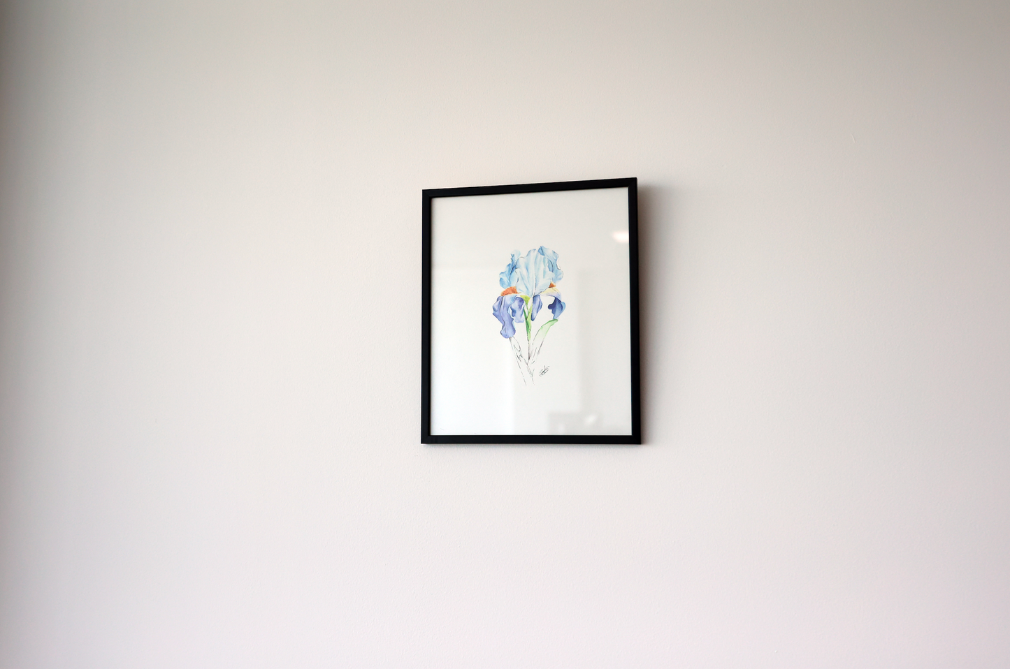Iris - Watercolor Painting