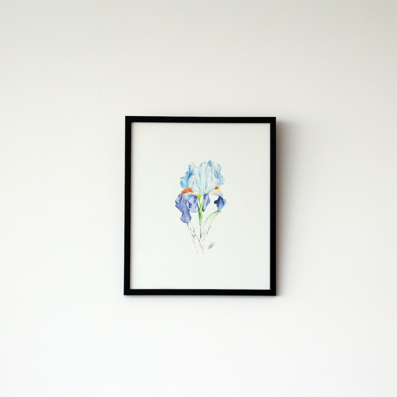 Iris - Watercolor Painting